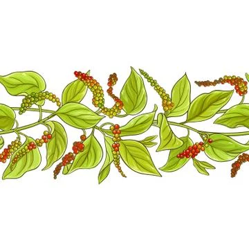 Black ground pepper Stock Illustration