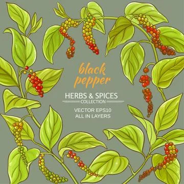 Black ground pepper vector frame Stock Illustration