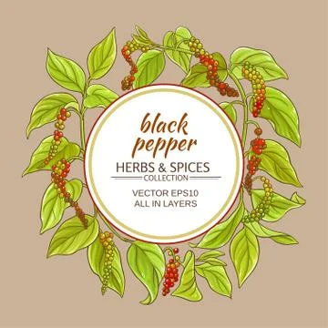 Black ground pepper vector frame Illustrazione stock