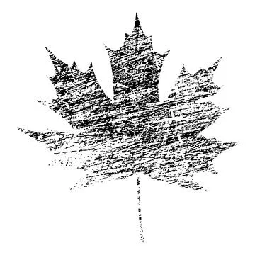 Black Grunge Maple Leaf Stock Illustration