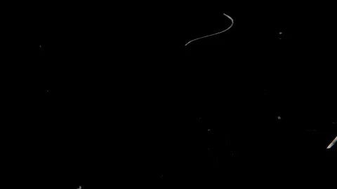 Black Grunge Scratch Texture With White Distressed Lines Vidéo 335893253