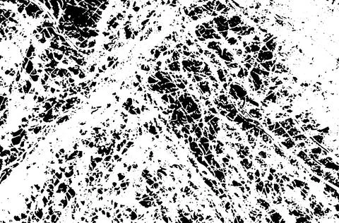 Black grunge vector texture of veins, cracks, stripes. Vector background Stock Illustration