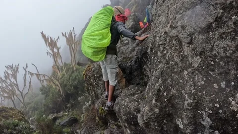 A black guide helps his friends climb the rocks up the mountain Stock-Footage 169337838