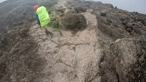 Black guy with a big green backpack walks along a mountain path Video stock 169224425