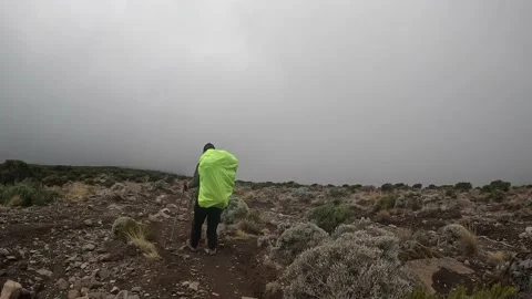 Black guy with a large backpack and trekking poles walks along a mountain path Video stock 169224443