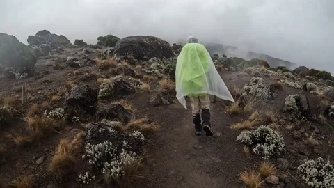Black guy with a large backpack, in a raincoat, walks along a mountain path Stock-Footage 169224450