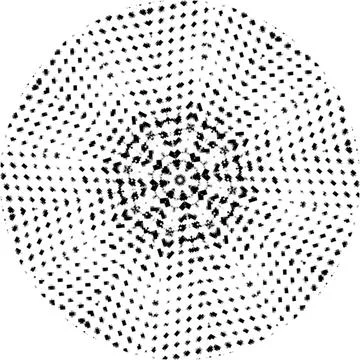 Black Halftone Dot Composition with Mandala Inspired Geometry Stock Illustration