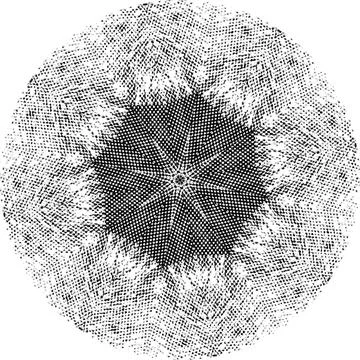 Black Halftone Dot Composition with Mandala Inspired Geometry Stock Illustration