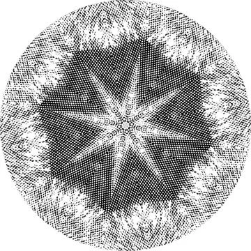 Black Halftone Dot Composition with Mandala Inspired Geometry Stock Illustration