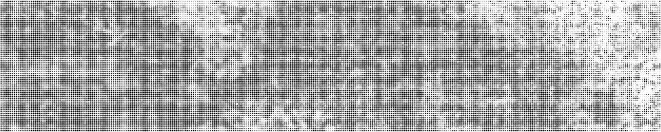 Black Halftone Dotted Backdrop. 스톡 일러스트