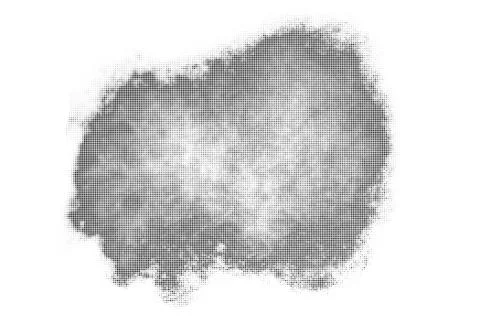 Black Halftone Dotted Backdrop. 스톡 일러스트