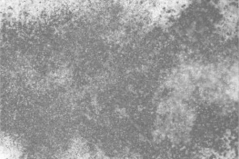 Black Halftone Dotted Backdrop. 库存插图