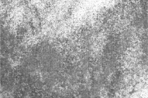 Black Halftone Dotted Backdrop. Stock-Illustration