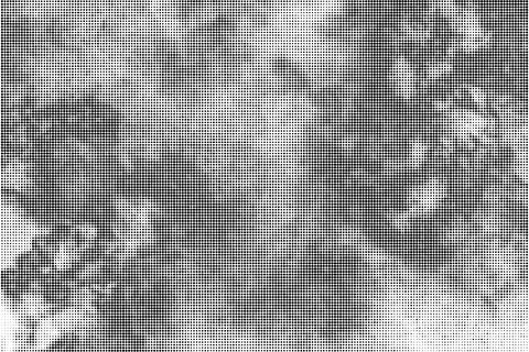 Black Halftone Dotted Backdrop. Stock-Illustration