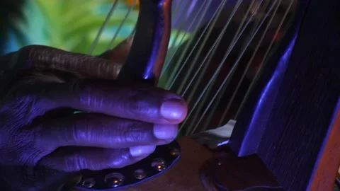 Black hands plucking the strings of kora instrument from side Stock Footage 208940692