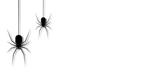 Black hanging spiders on web threads with copy space on white background fo.. 库存插图