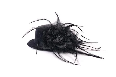 Black hat with feathers isolated on white background Stock Photos