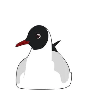 Black headed gull Stock Illustration