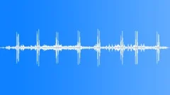 Black-headed oriole calling Sound Effect