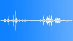 Black-headed oriole callingSound Effect