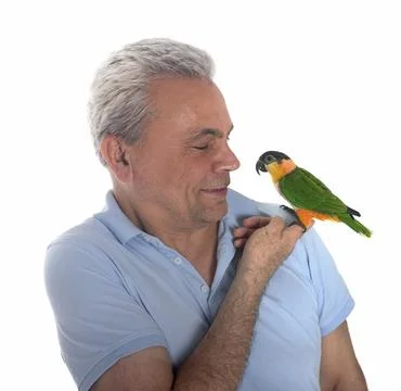 Black-headed parrot in studio Stock Photos