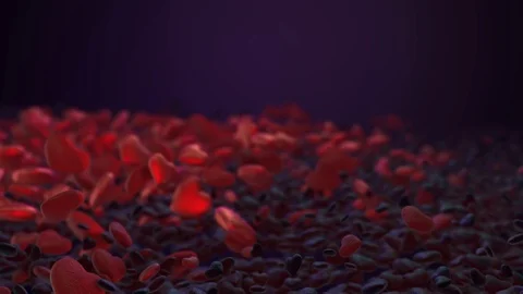 Black hearts background is turning into red, living ones Stock Footage 101822521