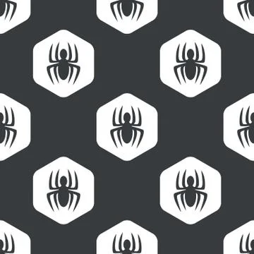 Black hexagon spider pattern 스톡 일러스트