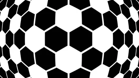 Black hexagonal shapes form a repeating pattern on white background animation Stock Footage 297059180