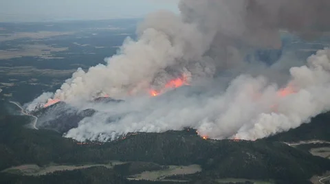 Black Hills Forest Fire Video stock 54751090