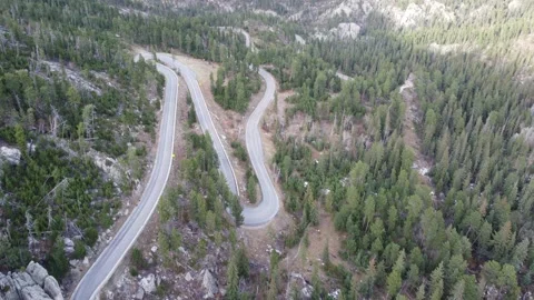 Black Hills National Forest Stock Footage 171136799