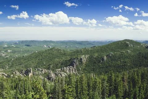 The black hills pine forest and granit peak Stock Photos