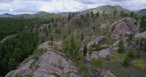 Black Hills, South Dakota, Custer State Park, Aerial Drone Shot Stock Footage