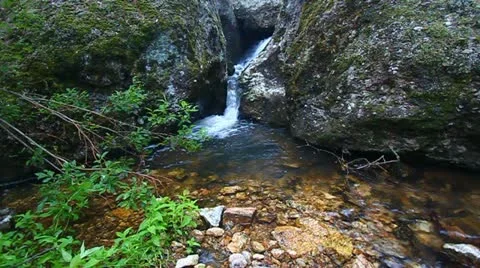 Black Hills Stream Stock-Footage 22241052