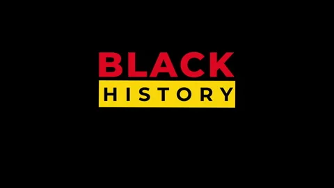 Black History Month Text animation. High-quality 4K footage Stock Footage 295743860