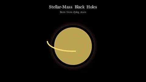Black Hole Tunneling 動画素材 341461915