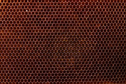 Black honeycombs on bee frame Stock Photos