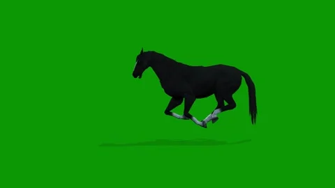 Black Horse Attacking Scene Left Side On Green Screen-3D Rendering Animation Stock Footage 312672285