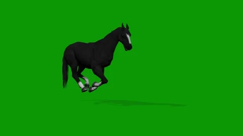 Black Horse Attacking Scene Right Side On Green Screen-3D Rendering Animation Stock Footage 312672304