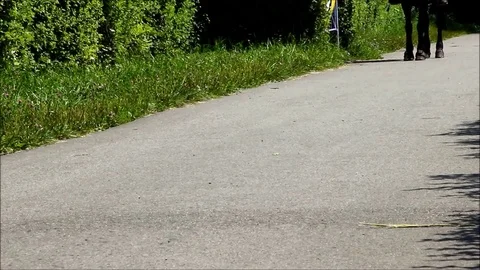 Black horse cantering along a road, the hooves can be seen Stock Footage 77862227