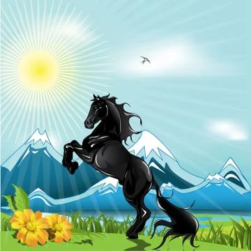 Black horse Stock Illustration