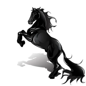 Black horse Stock Illustration