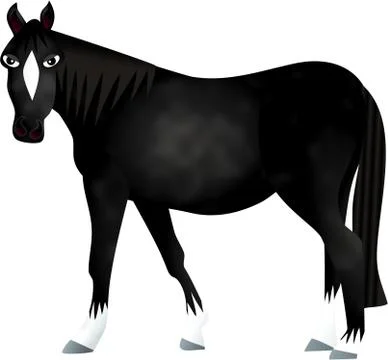 Black Horse Ilustração Stock