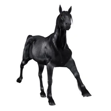 Black horse 스톡 일러스트