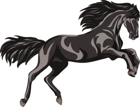Black horse Stock Illustration