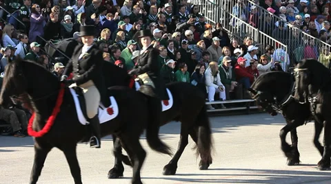 BLACK HORSES IN A PARADE Stock Footage 33847136