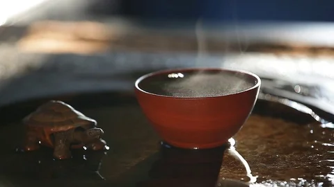 Black hot tea cup turtle hd footage Stock Footage 120629264