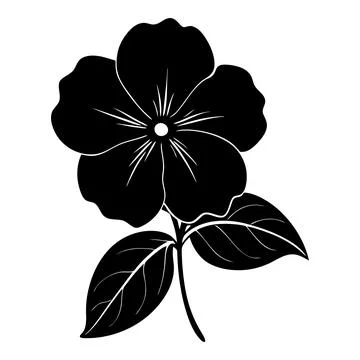 Black Impatiens flower with leaves vector graphic Stock Illustration