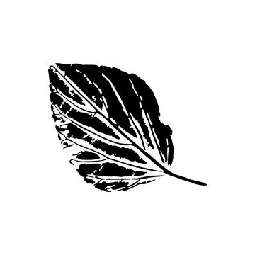 Black imprint of plantain leaf Stock Illustration