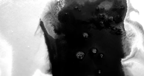 Black ink absorbing and bleeding into white background Stock Footage 91486098