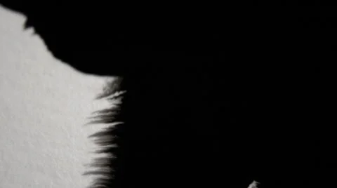 Black Ink Bleed On Paper In Slow Motion Stock Footage